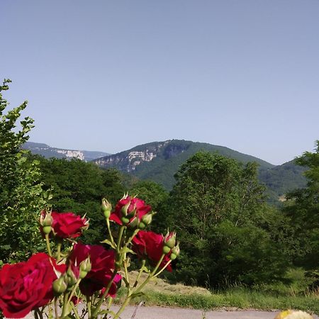 Au Chalet D'Anna Saint-Rambert-en-Bugey Экстерьер фото