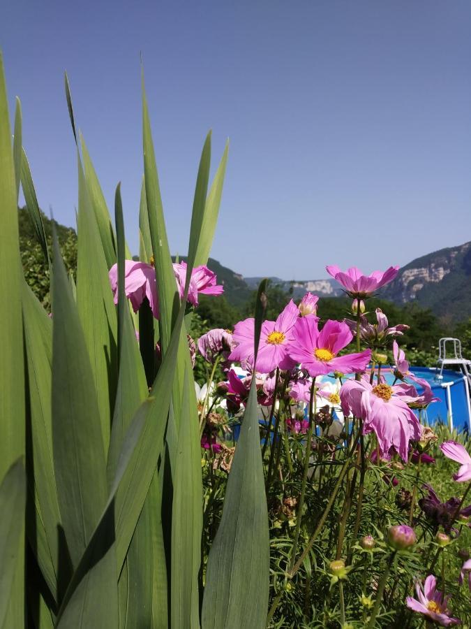 Au Chalet D'Anna Saint-Rambert-en-Bugey Экстерьер фото