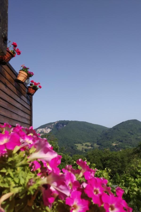 Au Chalet D'Anna Saint-Rambert-en-Bugey Экстерьер фото